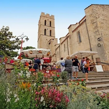Argelès-sur-mer, 3 Pièces, 6 Personnes - Fr-1-225-453 Appartamento *